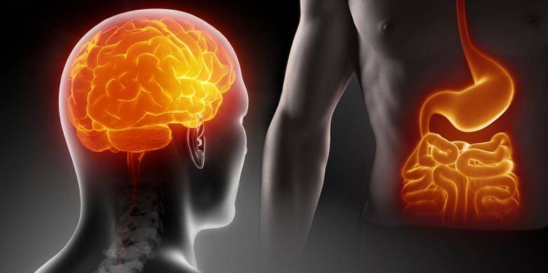 İkinci Beynimiz Bağırsaklarımız