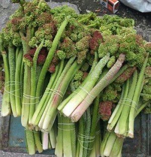 Işgın otu faydaları